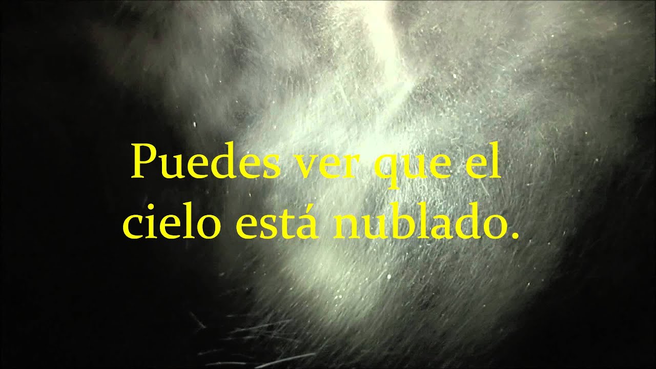 Brock Ansiolitiko - Cielo Nublado