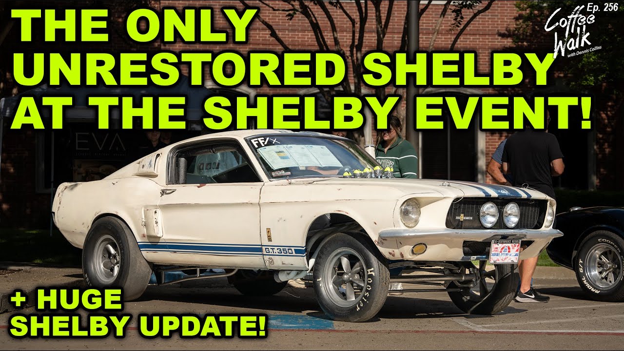 200 Shelby Mustangs & Cobras! + UPDATES ARE BACK!
