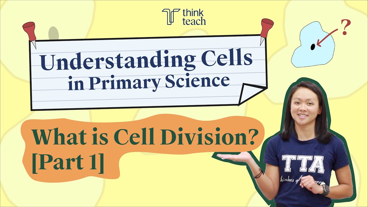 Understanding Cells in Primary Science - What is Cell Division? [Part 1]