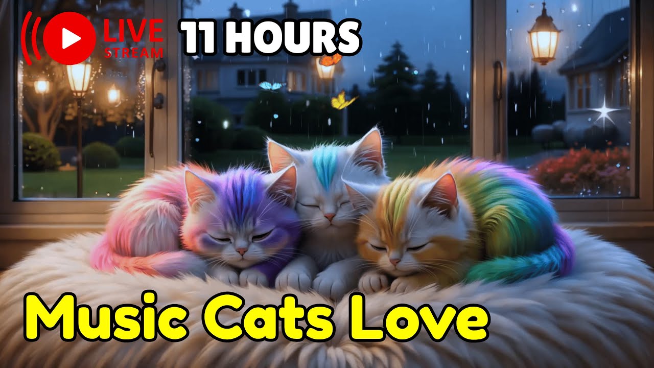 Piano Music for Cats to Ease Anxiety and Support Long Lasting Deep Sleep