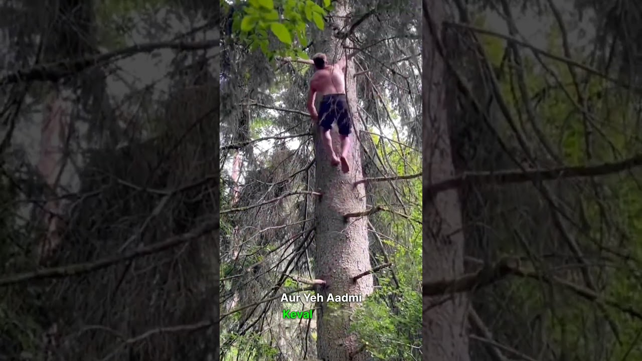 The Real Life Tarzan