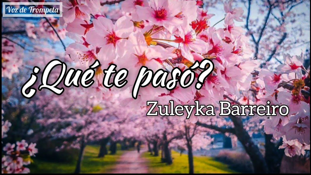 &iquest;Qu&eacute; te pas&oacute;?&ndash;Zuleyka Barreiro (Letra)
