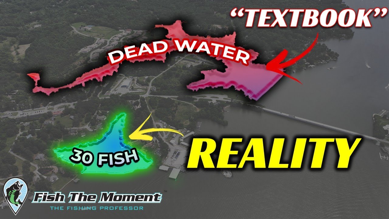 The Bass Fishing Textbooks are WRONG About this Common Fishing Myth | 