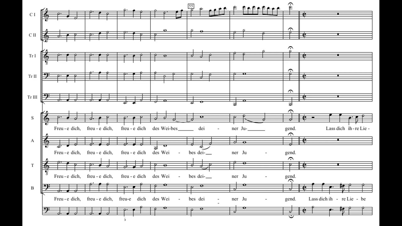 Schütz: Freue dich des Weibes deiner Jugend (453) - Cantus Cölln