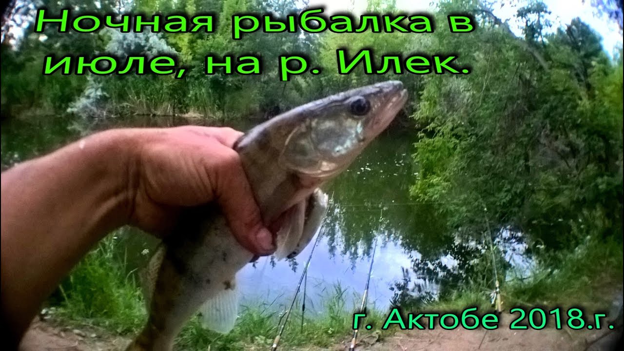Ночная рыбалка в июле, на р  Илек г  Актобе 2018г