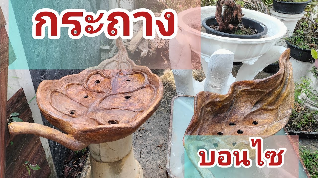 อัพเดทกระถางบอนไซ มค.69