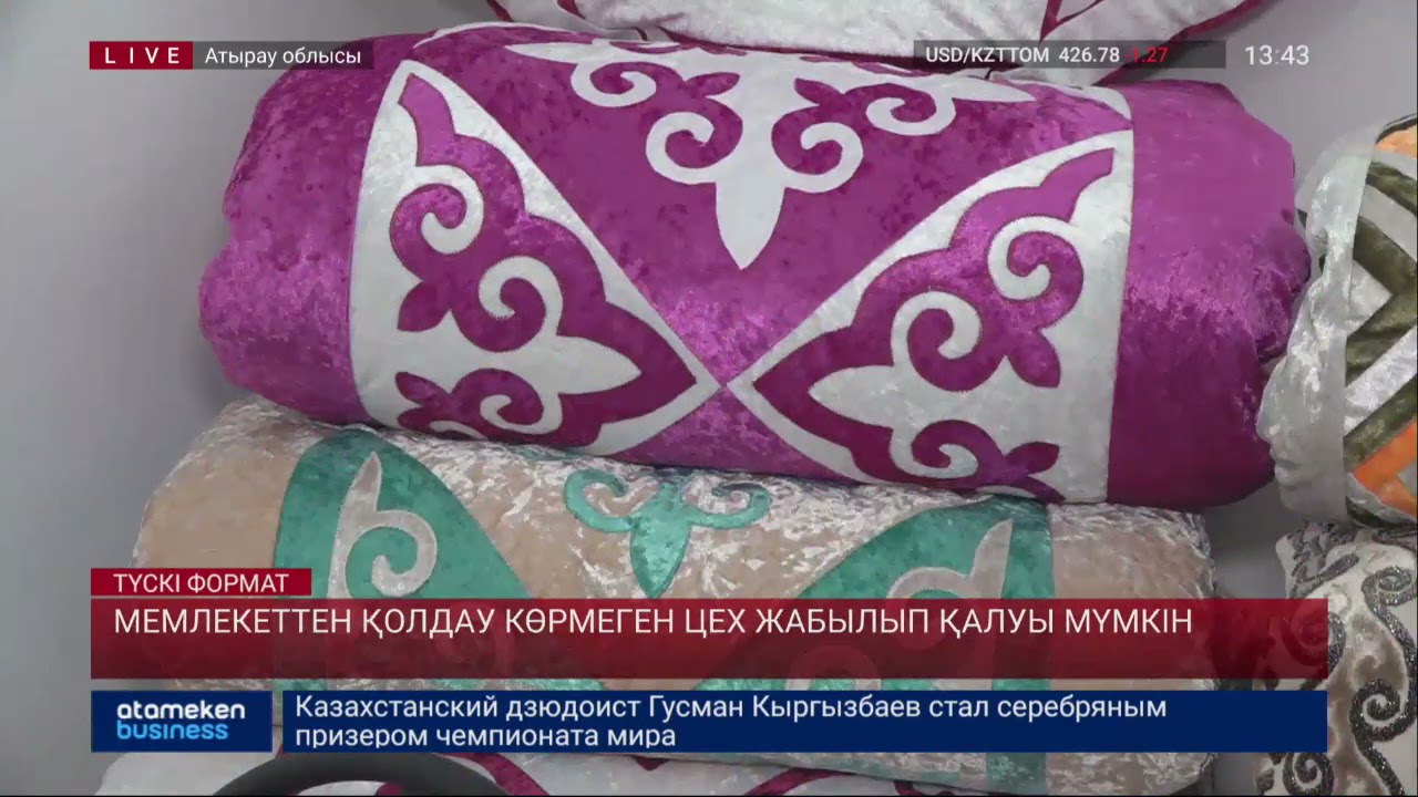МЕМЛЕКЕТТЕН ҚОЛДАУ КӨРМЕГЕН ЦЕХ ЖАБЫЛЫП ҚАЛУЫ МҮМКІН