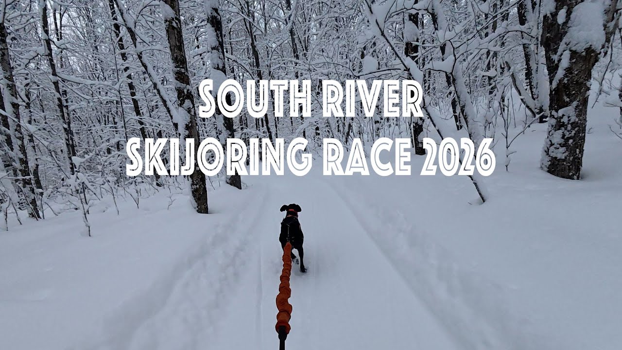 Race Video - South River Sleddog Race - 1-dog Skijoring