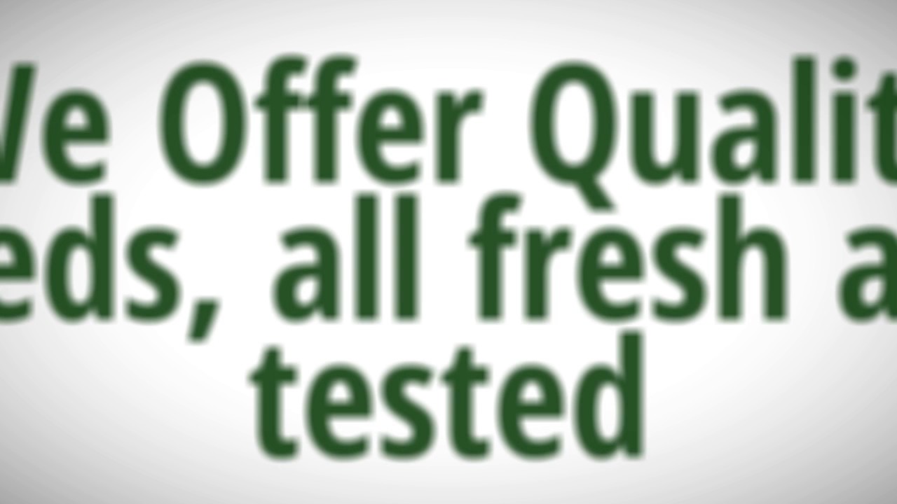 Buy Exotic Seeds Online