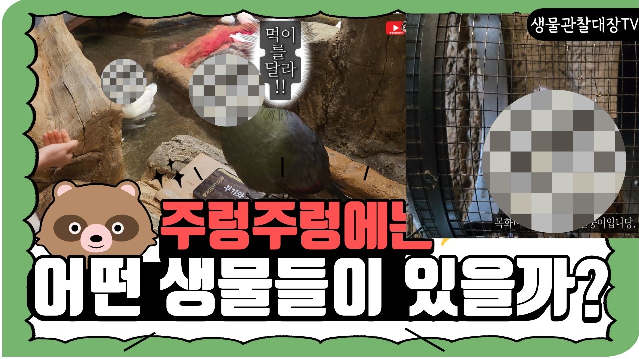 주렁 주렁에는 어떤 생물이??