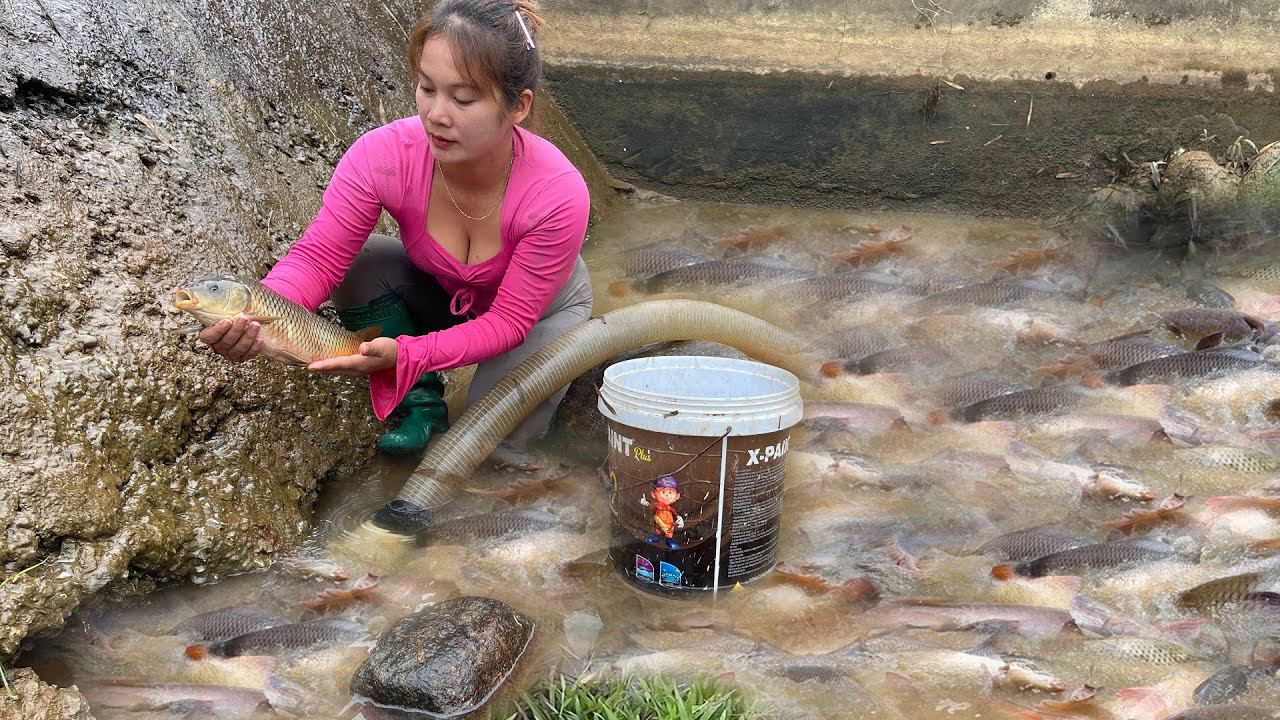 Fishing In Cold Winter In A Shallow Water Channel. Harvesting Many Natural Fish