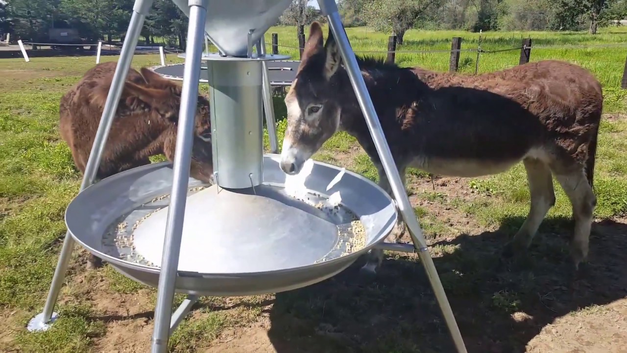 Feed smart feeder automated pasture feeder