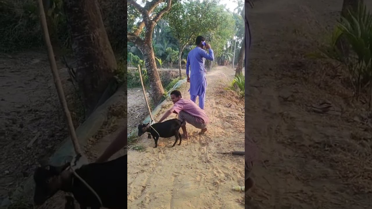 #সাহিদ##Ki dusht mera #kholo #re bhai# funny## video# in##🥰🤗🌹❤️🎉💓🌺🥹🤠