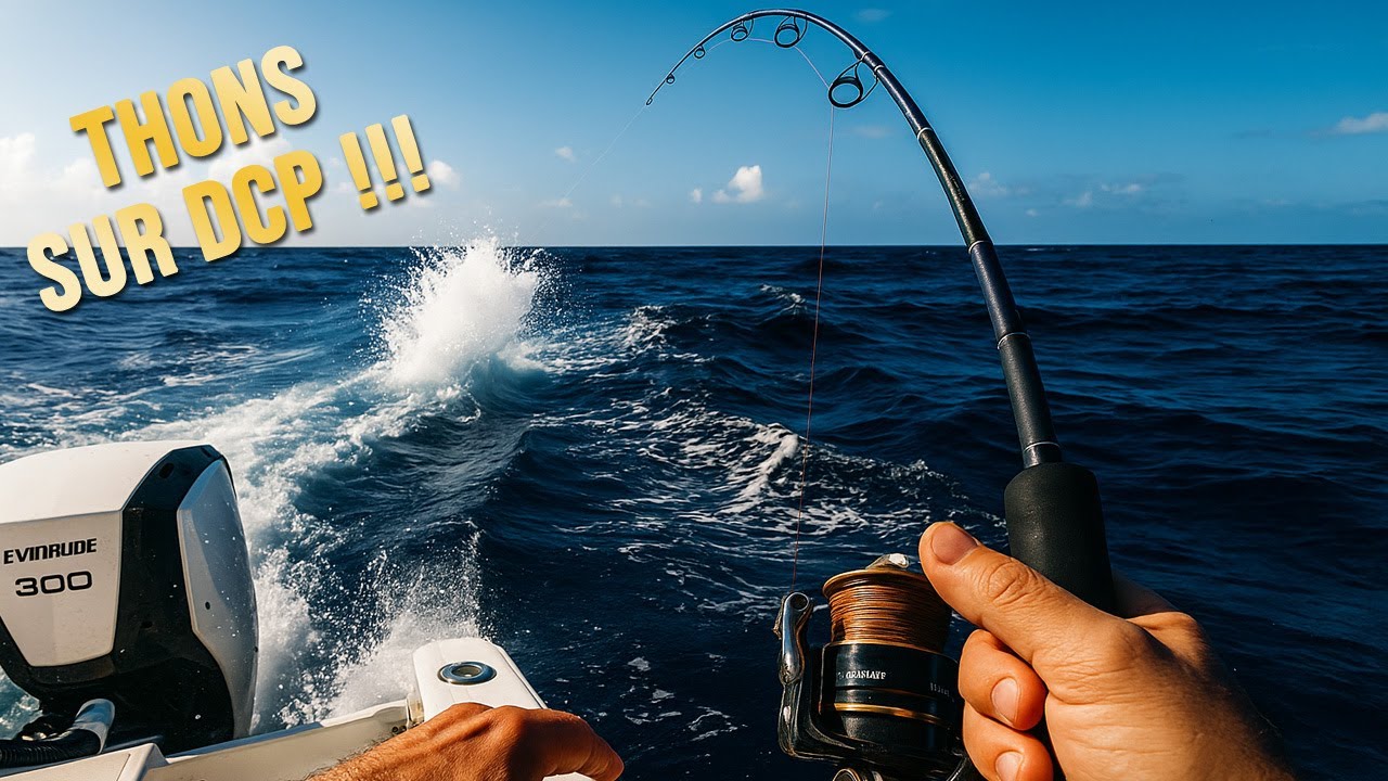 Excursion P&Ecirc;CHE sur DCP en Martinique : Akwaba Fishing Experience