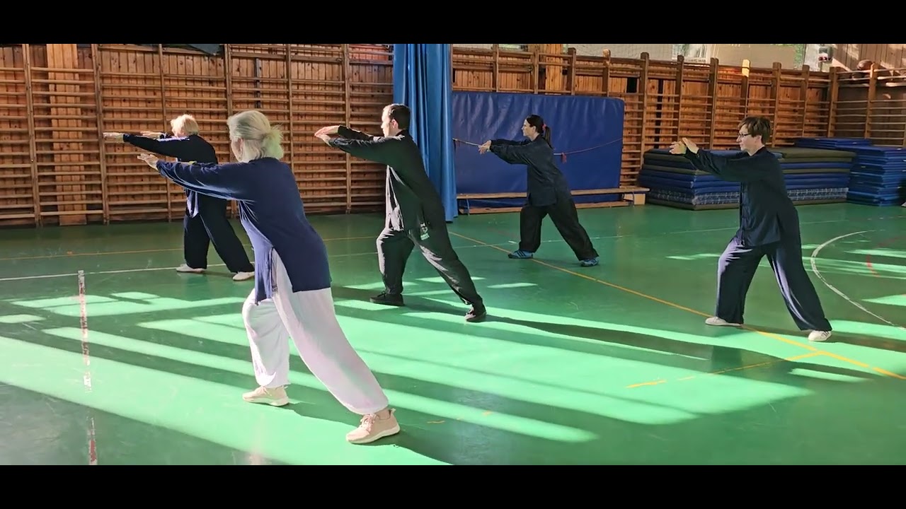 Yang Chengfu Big Frame 88 1 - 2 rész. World Tai Chi and Qigong Day Budapest 2024.