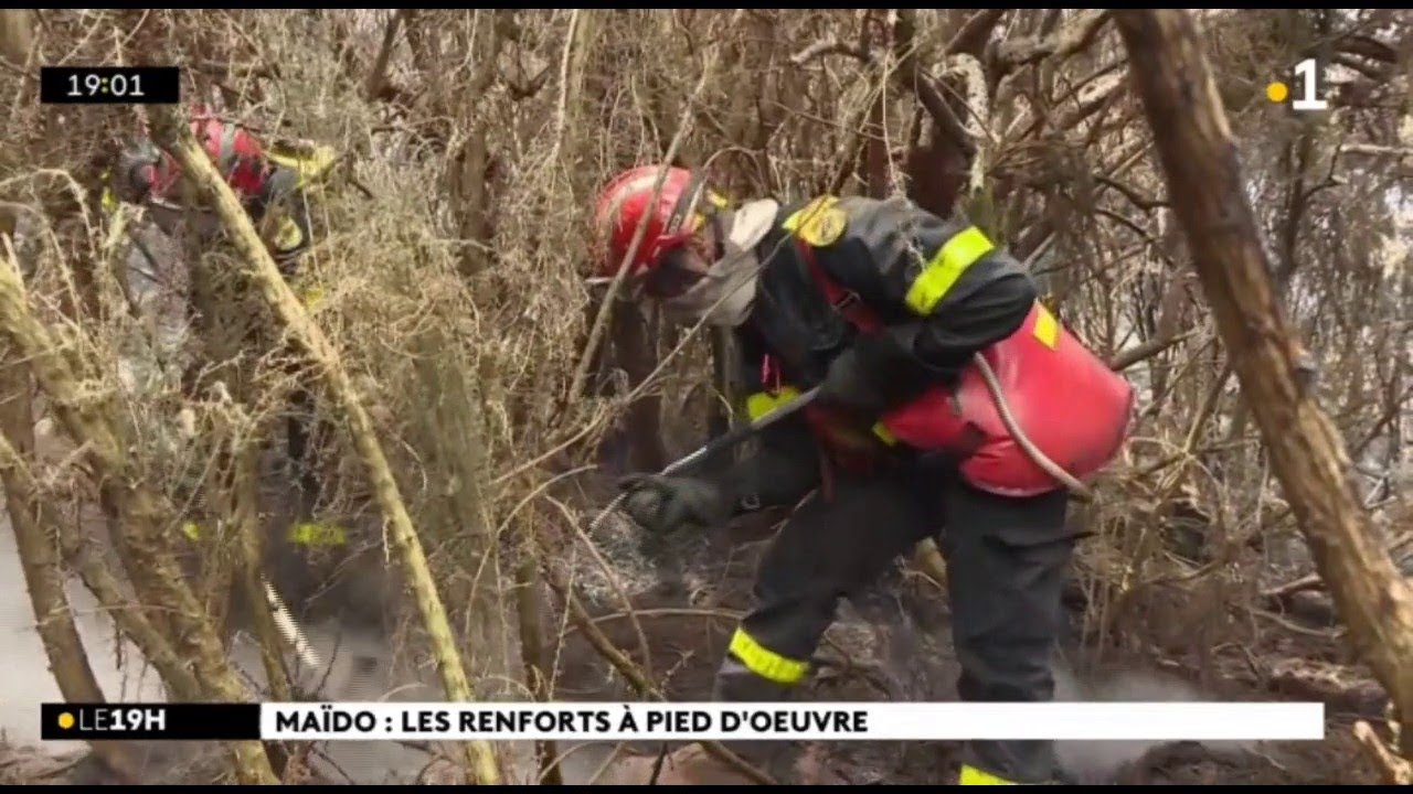 Les renforts en action au Maïdo