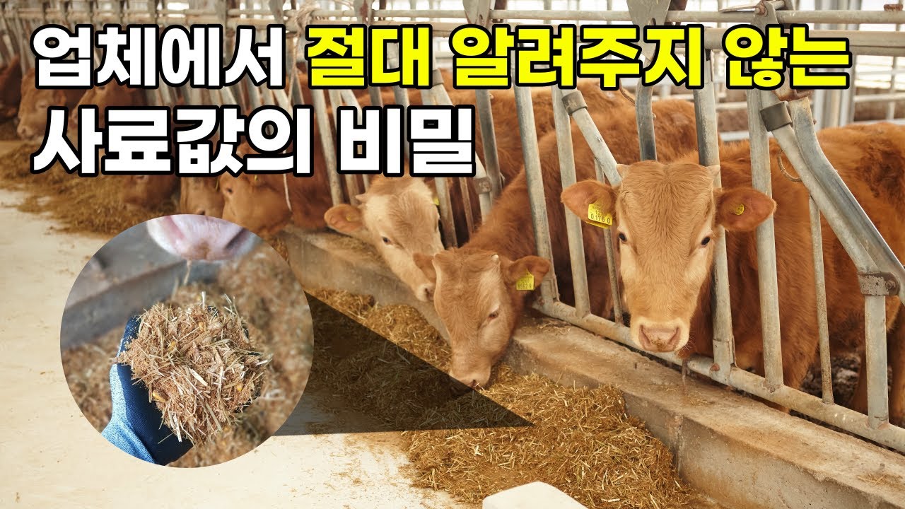 사료 직접 만드는게 정답일까? (자가 배합, TMR/TMF)