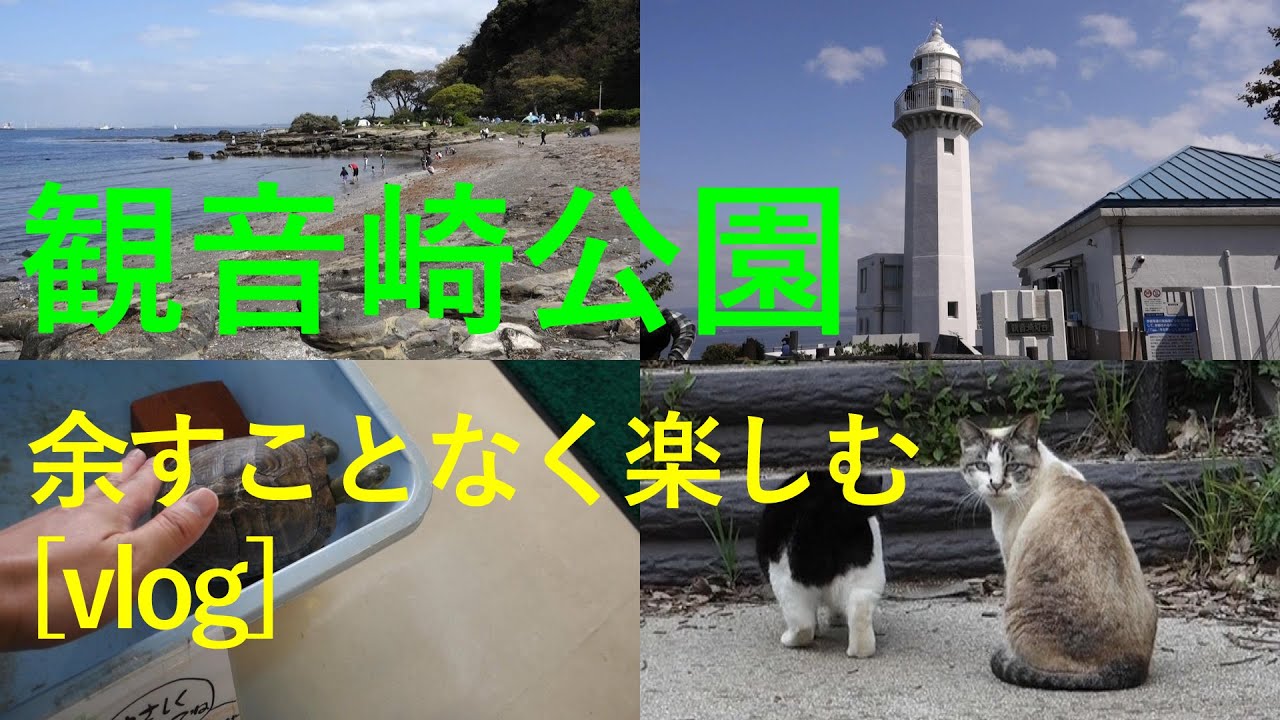 【横須賀】観音崎公園を余すことなく楽しむ/観音崎自然博物館[vlog]