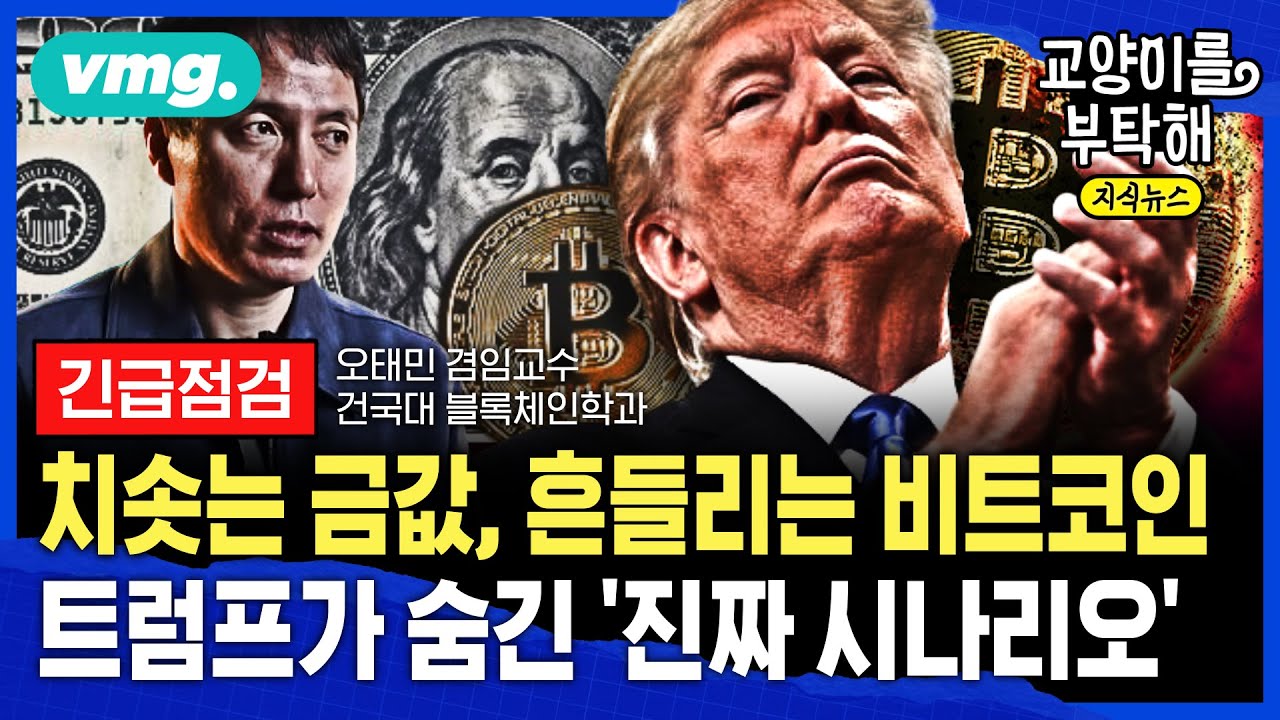 [지식뉴스] 치솟는 금값, 흔들리는 비트코인...트럼프가 숨긴 '진짜 시나리오' (ft.오태민 건국대 겸임교수) / 교양이를 부탁해 / 비디오머그 @sbs_explained