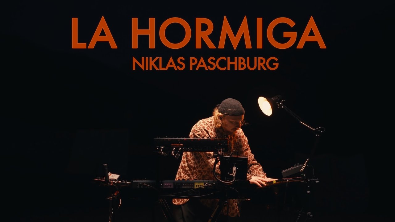 Niklas Paschburg - La Hormiga (Mountain live session)