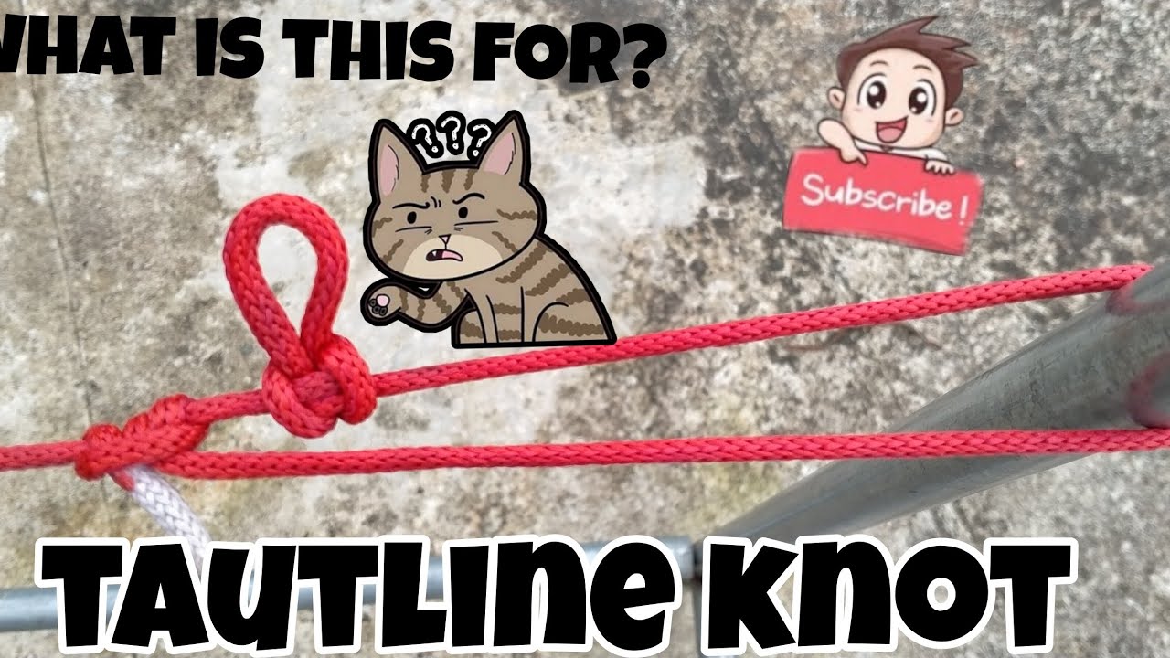 HIGH TENSION FOR TAUTLINE KNOT SECRET REVEALED🙀 #hitchknot
