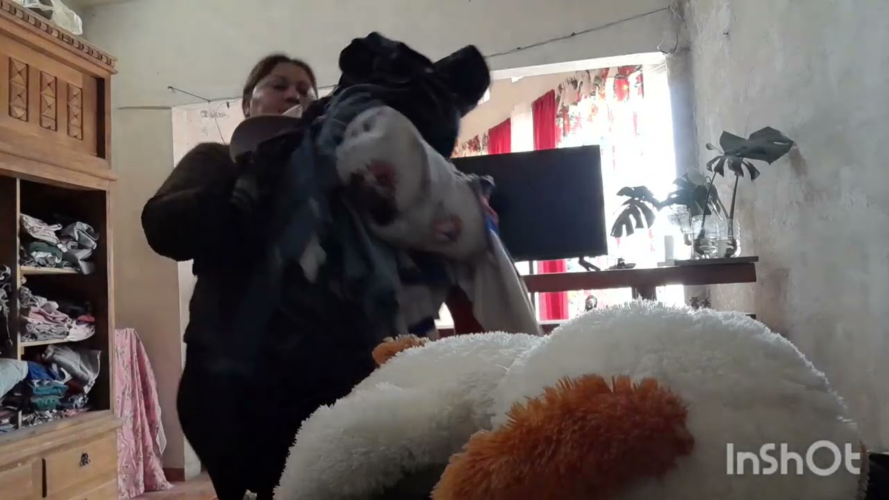 LIMPIEZA PROFUNDA 🧺🧹de mi cuarto 