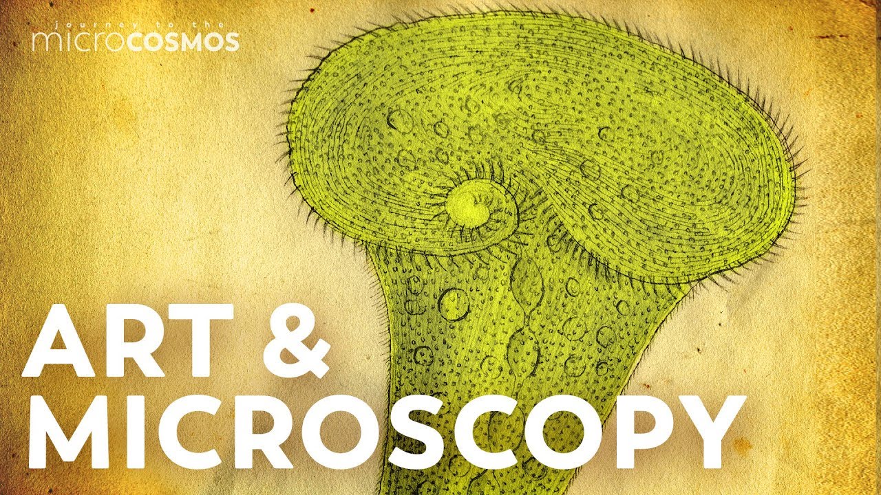 The Microcosmos of the 1800s  | The Story of Christian Gottfried Ehrenberg