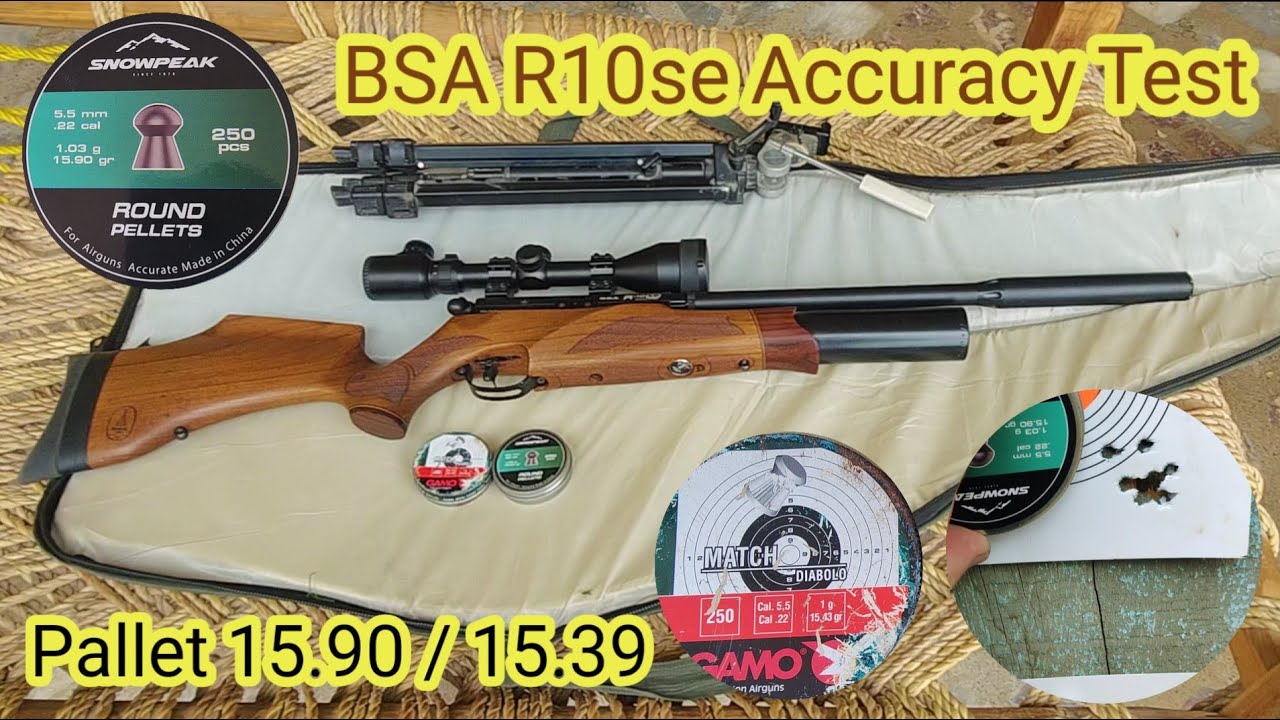 BSA R10 SE PCP AIR GUN  ACCURACY TEST 16gr Pallet #accuracy #hunting