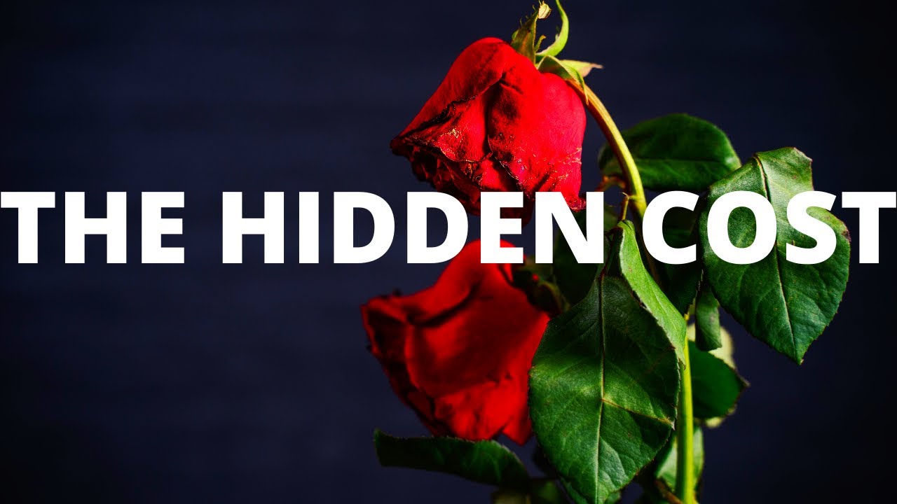 The Environmental Impact Of The Flower Industry
