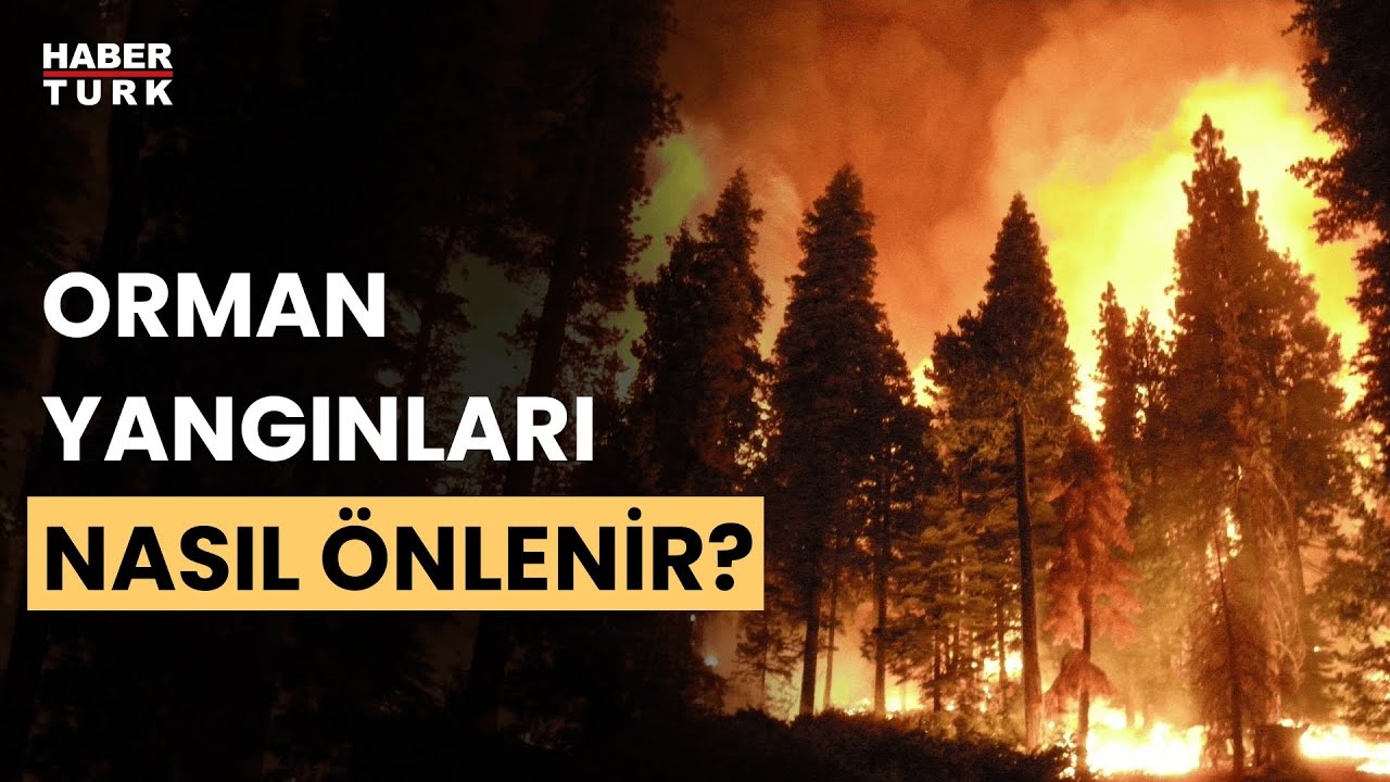 Orman yangınlarının nedenleri neler? Ertuğrul Bilgili yanıtladı