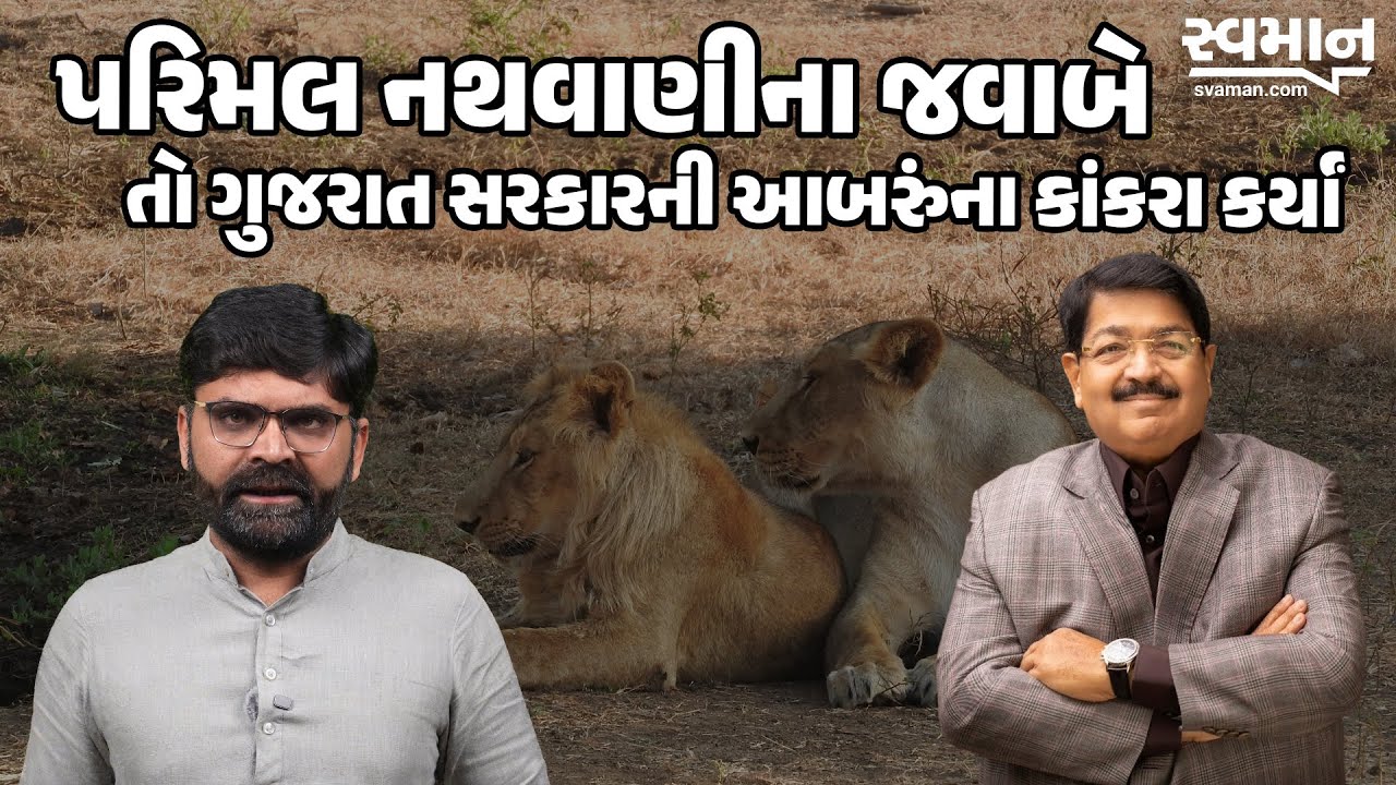 Parimal Nathwani એ Gir Lion Video ના વિવાદ બાદ આપ્યો જવાબ | Gujarati&nbsp;News&nbsp;Today&nbsp;Live