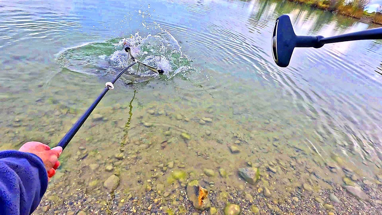 Kalter Herbsttag, heißer Drill – 13,7 kg Graskarpfen!
