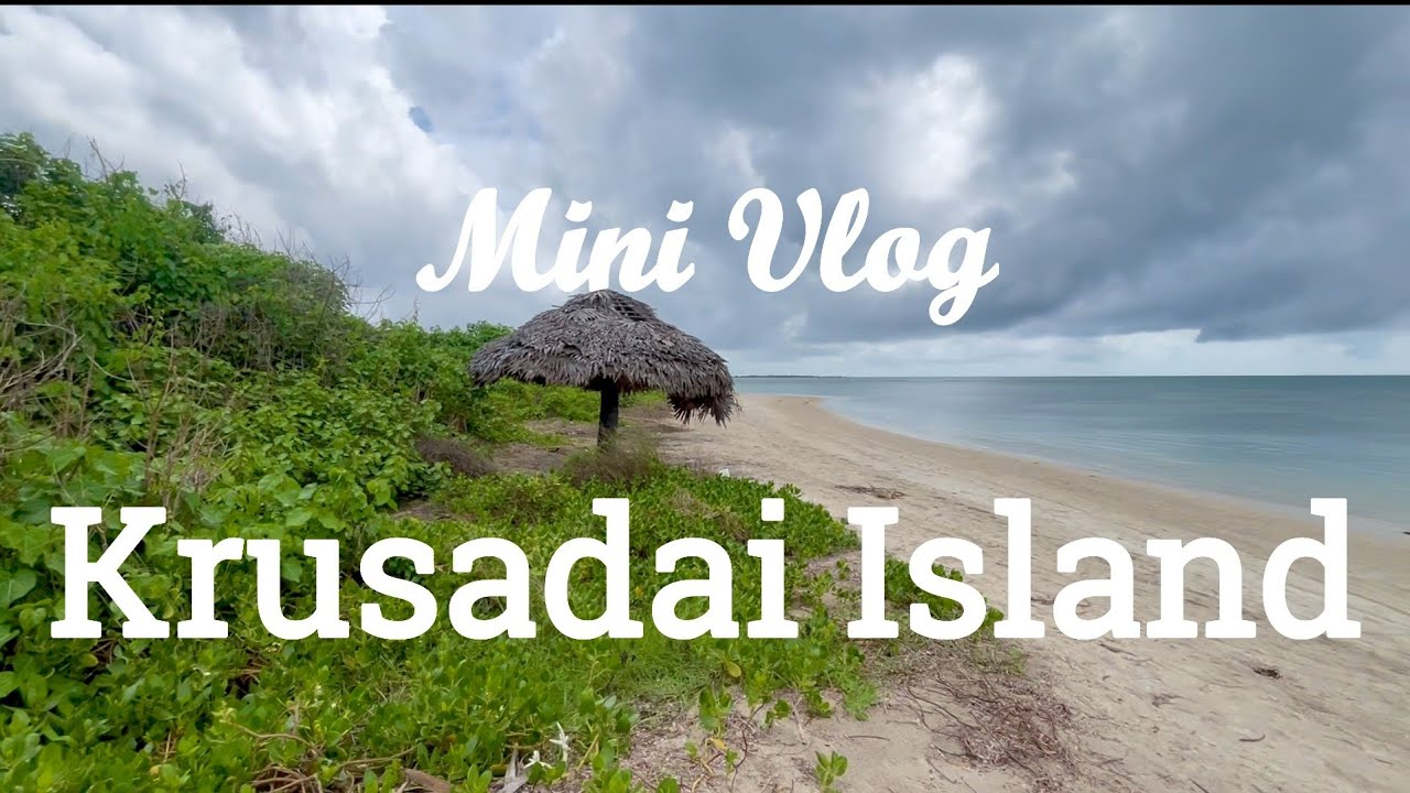 Mini Vlog to Krusadai Island