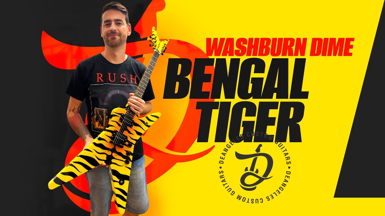 Pintura Washburn Dime BENGAL TIGER! 🐯