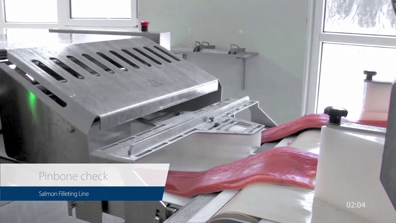 Salmon Trimming Lines – Improved quality on end product