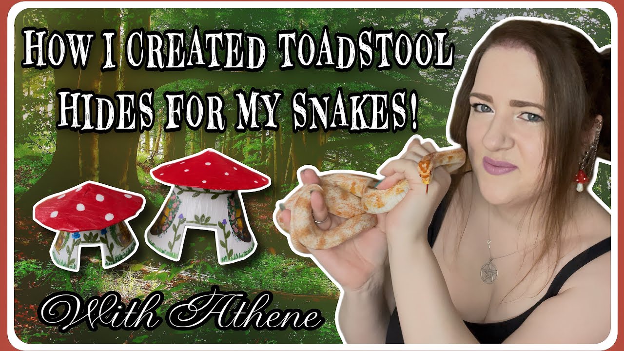 Snake Decor: Creating Toadstool Hides For ALL of My Snakes ~Ellie Snake Lady~