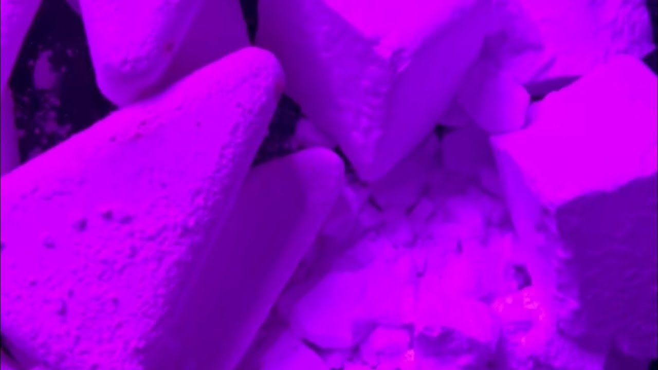 PINK LIGHT GYM CHALK CRUSH 