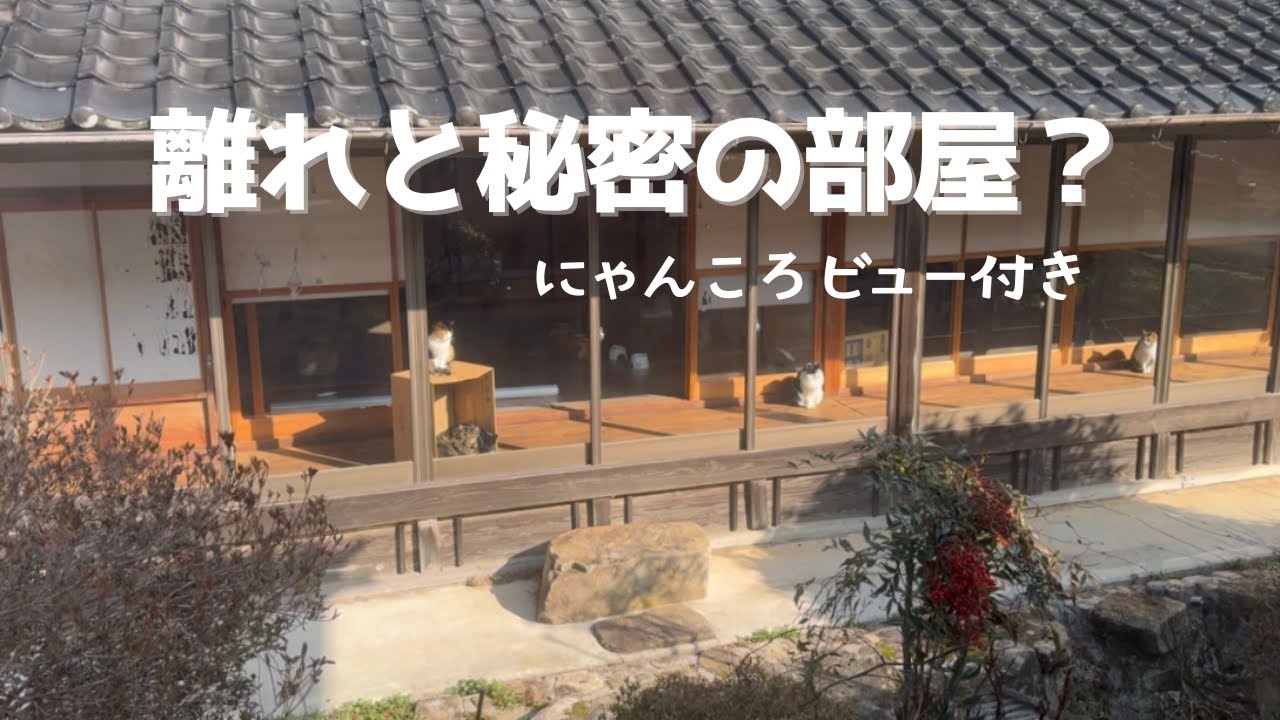 離れと秘密の部屋 | 離れに絶景ポイント⁉︎