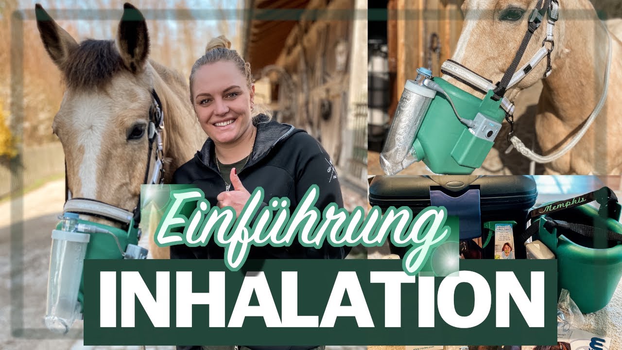 PFERD AN INHALATOR GEWÖHNEN I DIE ERSTE INHALATION I BEDIENUNG FLEXINEB INHALATOR I WAS IST WICHTIG?