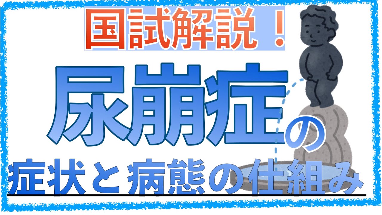 教科書をわかりやすく！「尿崩症の症状と病態とは」口渇・多飲・多尿はなぜ起こる？