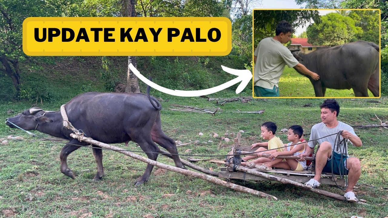Pagsakay ng paragos + Update kay Palo
