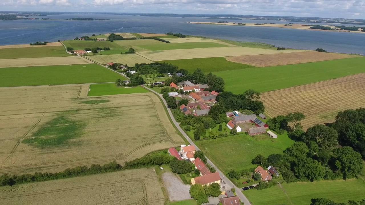 Hjarnø