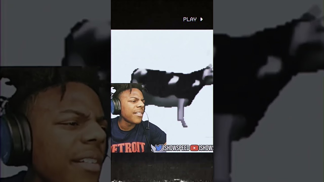ISHOWSPEED REACTS TO POLISH COW😂😹