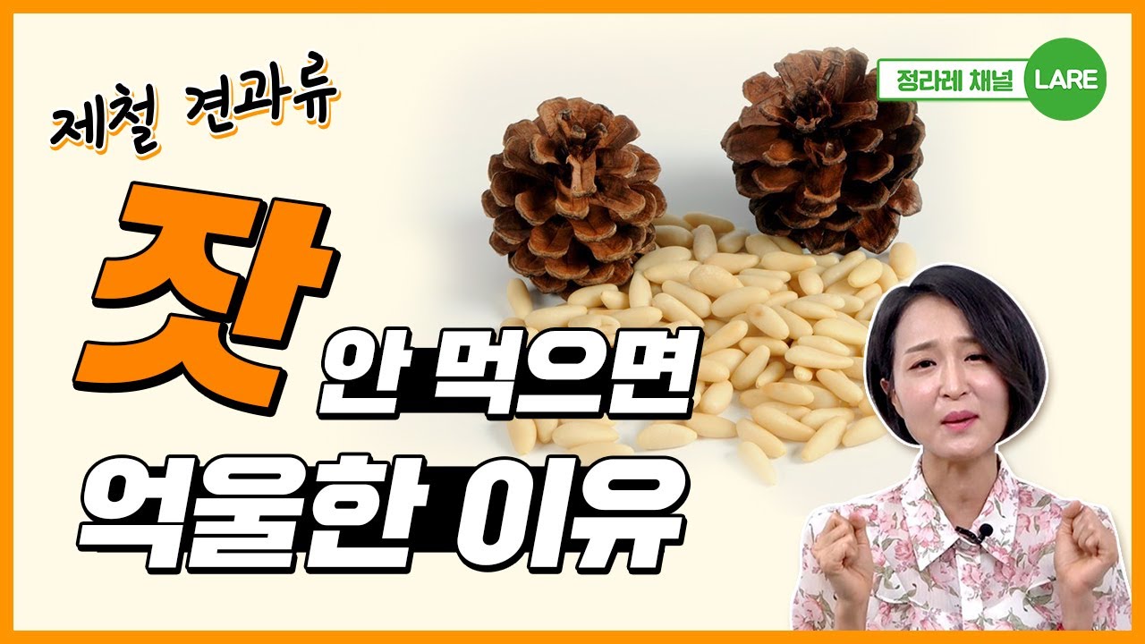 가을 잣 안 먹으면 억울한 이유 4가지. 백잣 황잣 효능. 잣 먹는 법과 잣 보관법 [정라레]