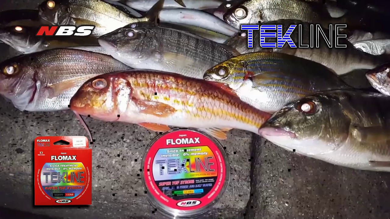 FLOMAX TEKLINE ... a for&ccedil;a da qualidade !