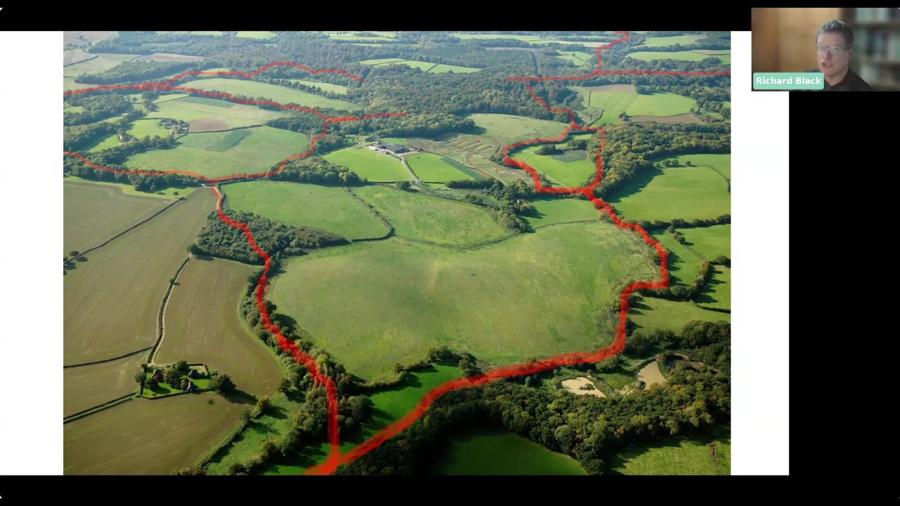 Wilder Horsham District: How Nature Recovery Networks Can Really Make a Difference