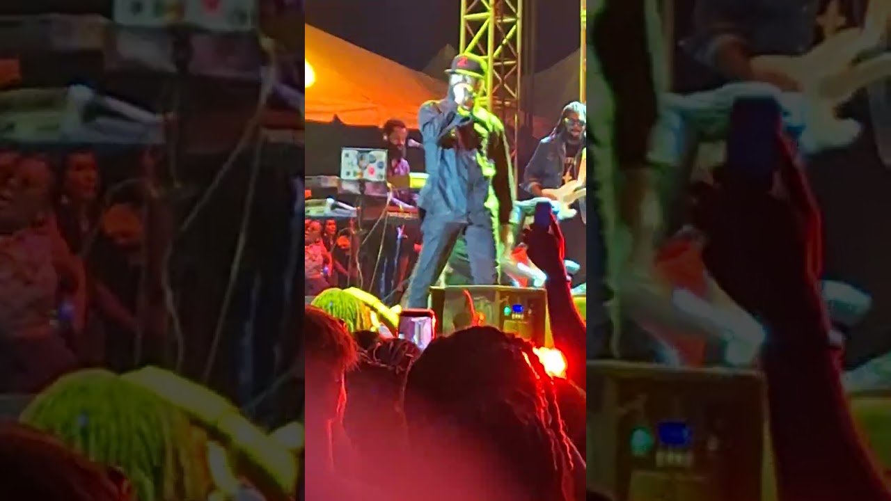 Protoge Ft Damian Junior Gong Marley and Stephen Marley Lost in Time Festival 2026