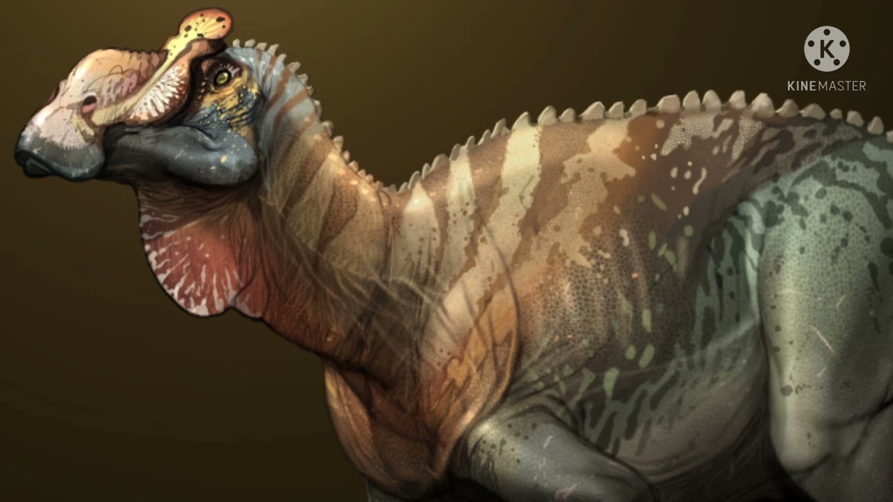 Ornatops (El Saurolophino Con Rostro Adornado)