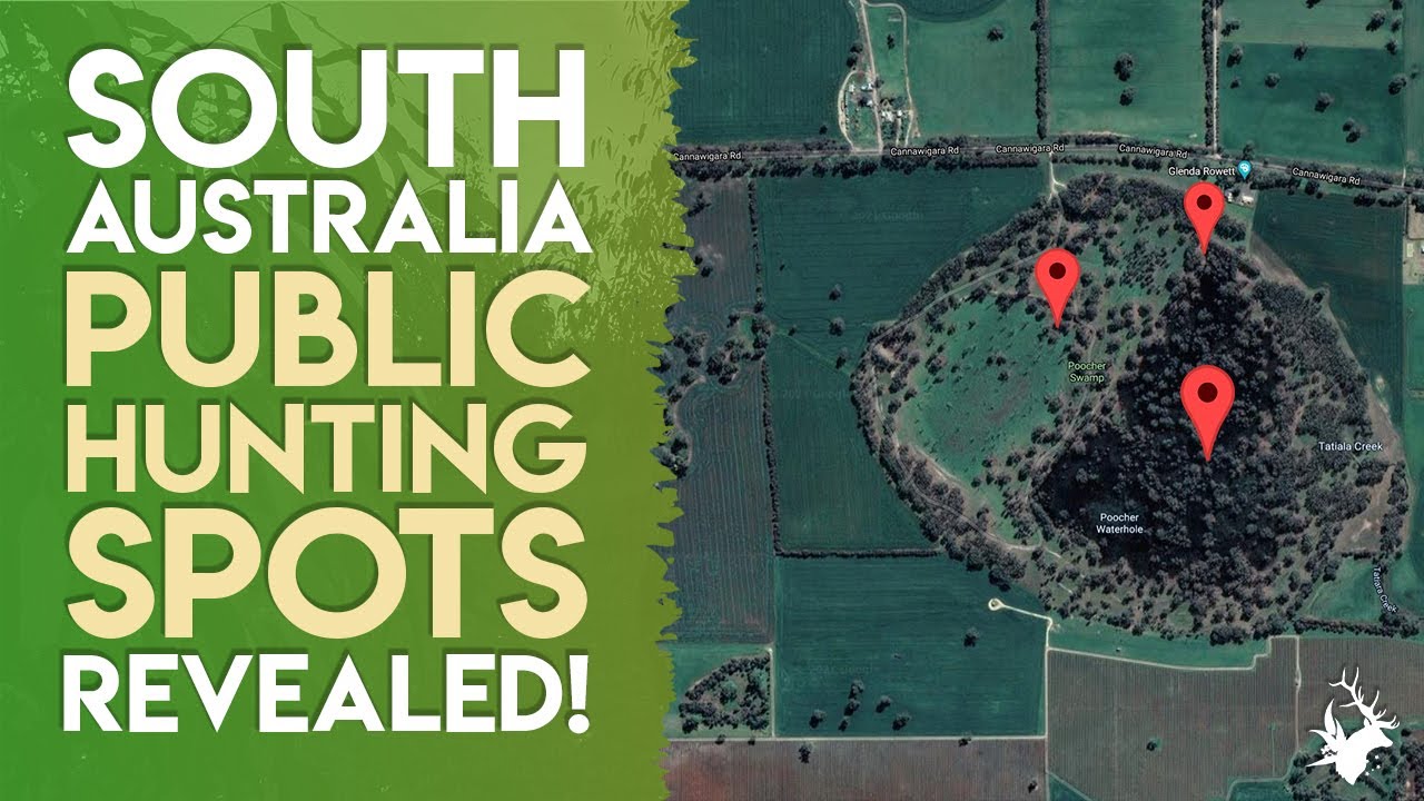 Where can you hunt in South Australia? SA Hunting Locations