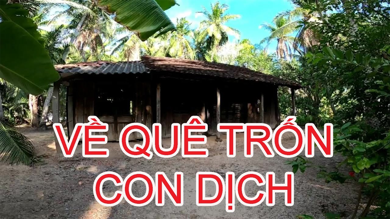 VỀ BẾN TRE ĐỔI GIÓ MÙA CÔ VY